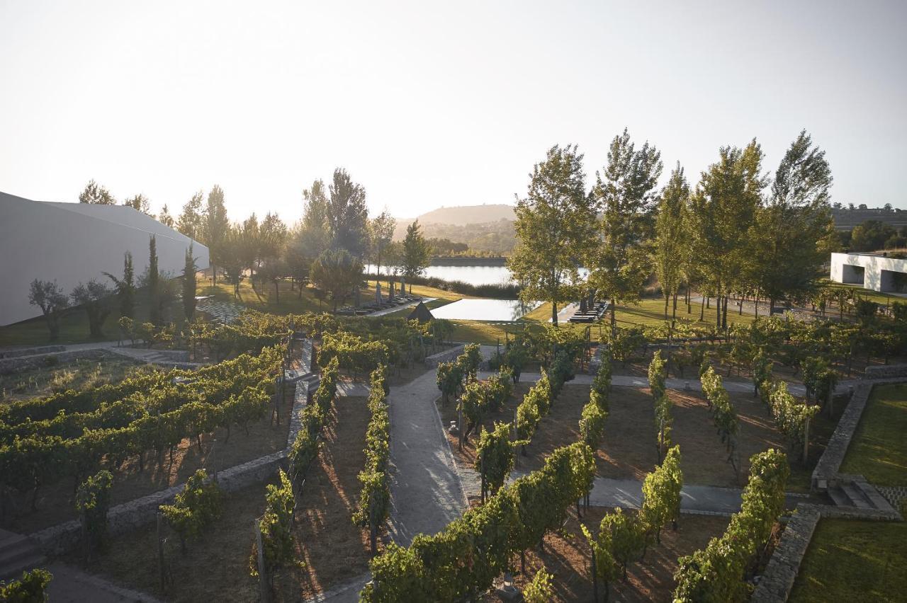 L'And Vineyards - Relais & Chateaux Монтемор-у-Нову Экстерьер фото