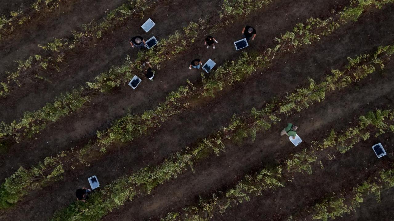 L'And Vineyards - Relais & Chateaux Монтемор-у-Нову Экстерьер фото